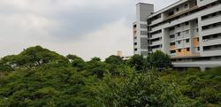 Blk 221 Serangoon Avenue 4 (Serangoon), HDB 3 Rooms #156112722